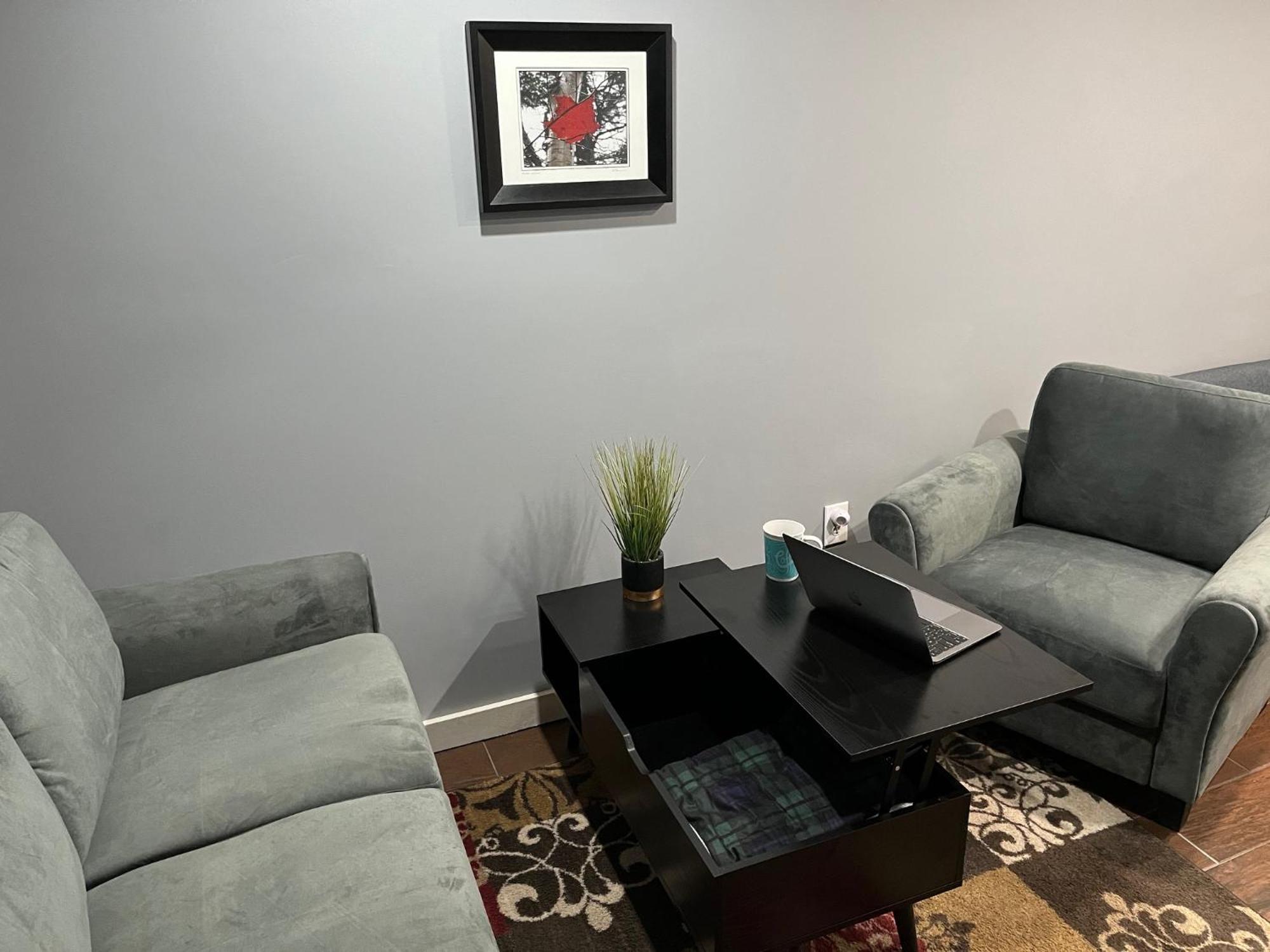 Plush Garden Level Apartment Near Stowe Morristown Екстериор снимка